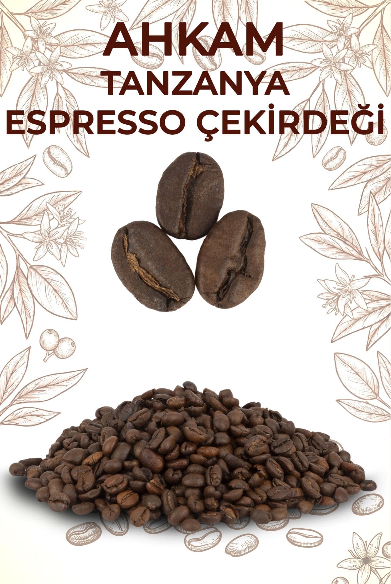 MULATTO TANZANYA ESPRESSO KAHVE ÇEKİRDEĞİ 1000 GR
