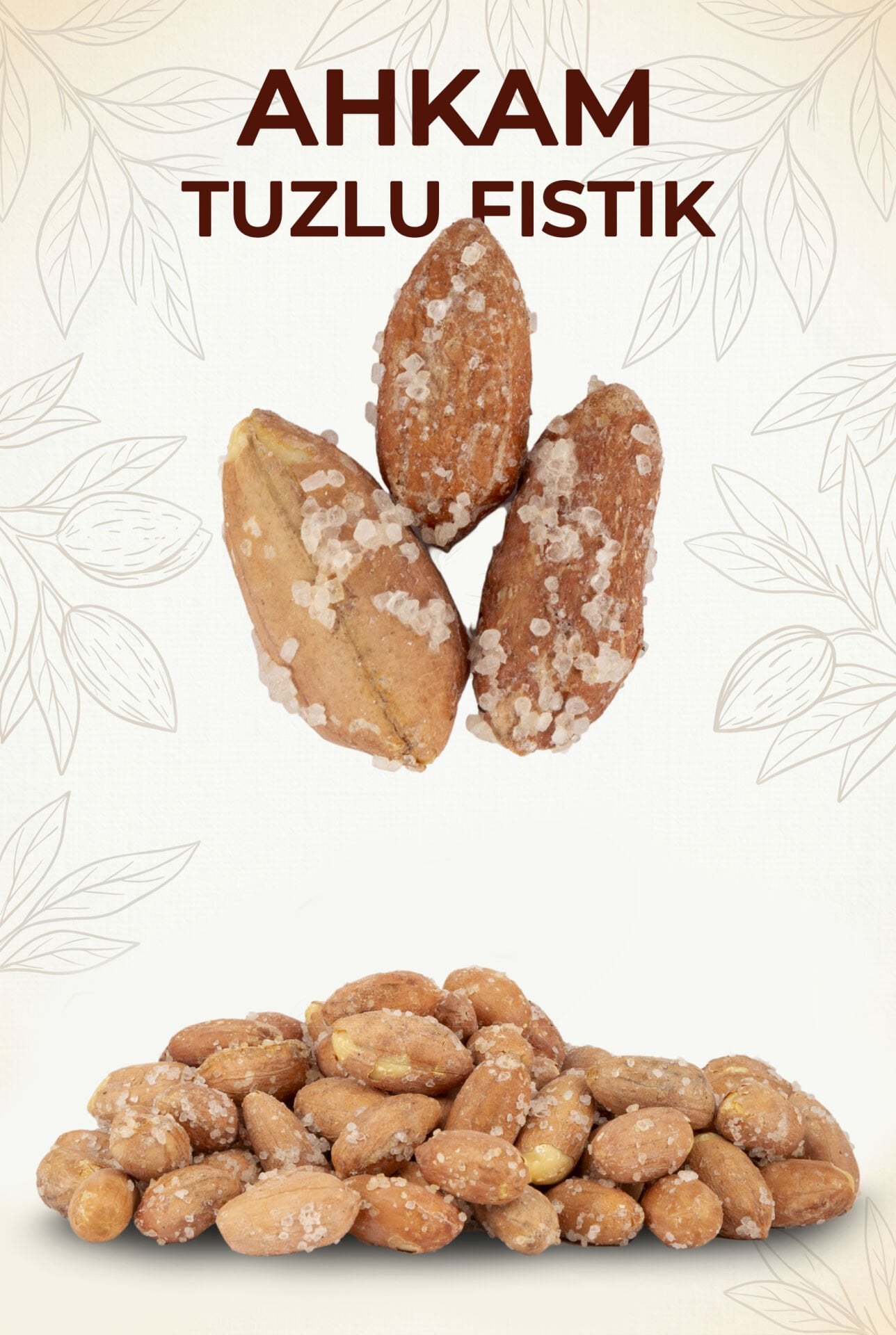 YERFISTIĞI TUZLU 500 GR